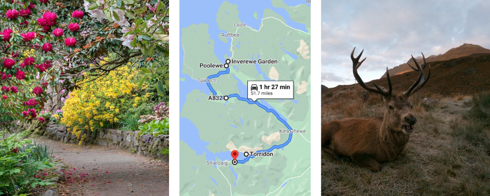 NC500 itinerary -
Trio of images - Inverewe gardens, driving route, Deer in Torridon.