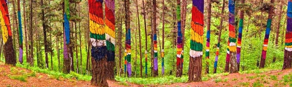 Oma Forest (painted trees in forest)
