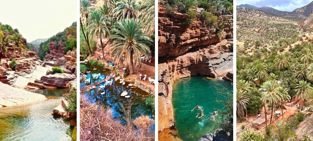 Paradise valley - oasis in southern morocco